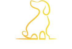 V Finances